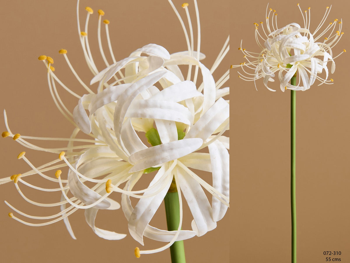 Amaryllis real touch blanco 55 cms