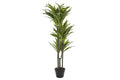 PLANTA PVC 57X59X126 DRACAENA VERDE