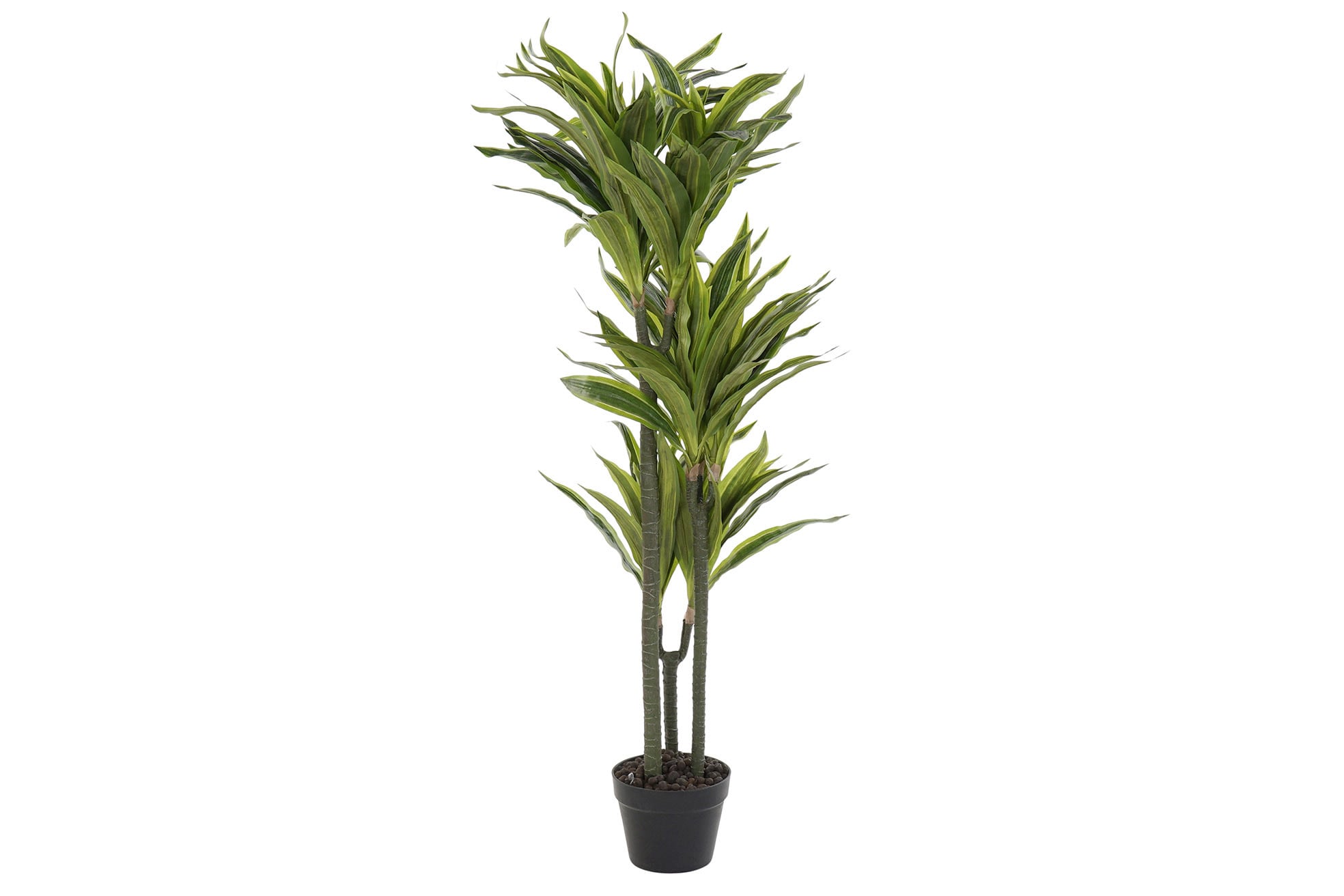 PLANTA PVC 57X59X126 DRACAENA VERDE