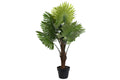 PLANTA PVC PP 80X70X100 PALMERA VERDE