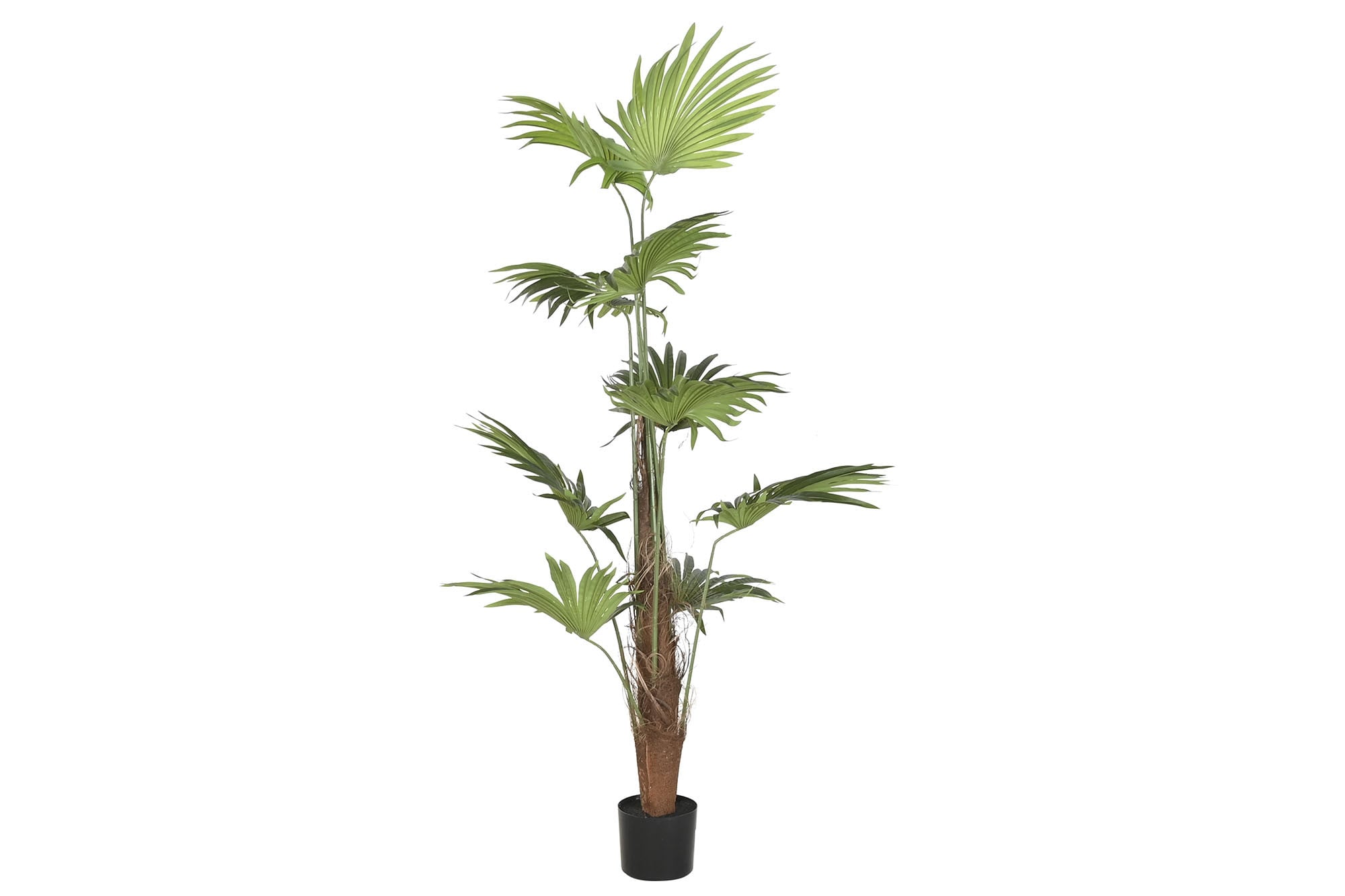 PLANTA POLIESTER PP 80X80X180 PALMERA VERDE