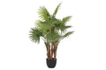 PLANTA PP PE 88X81X128 VERDE