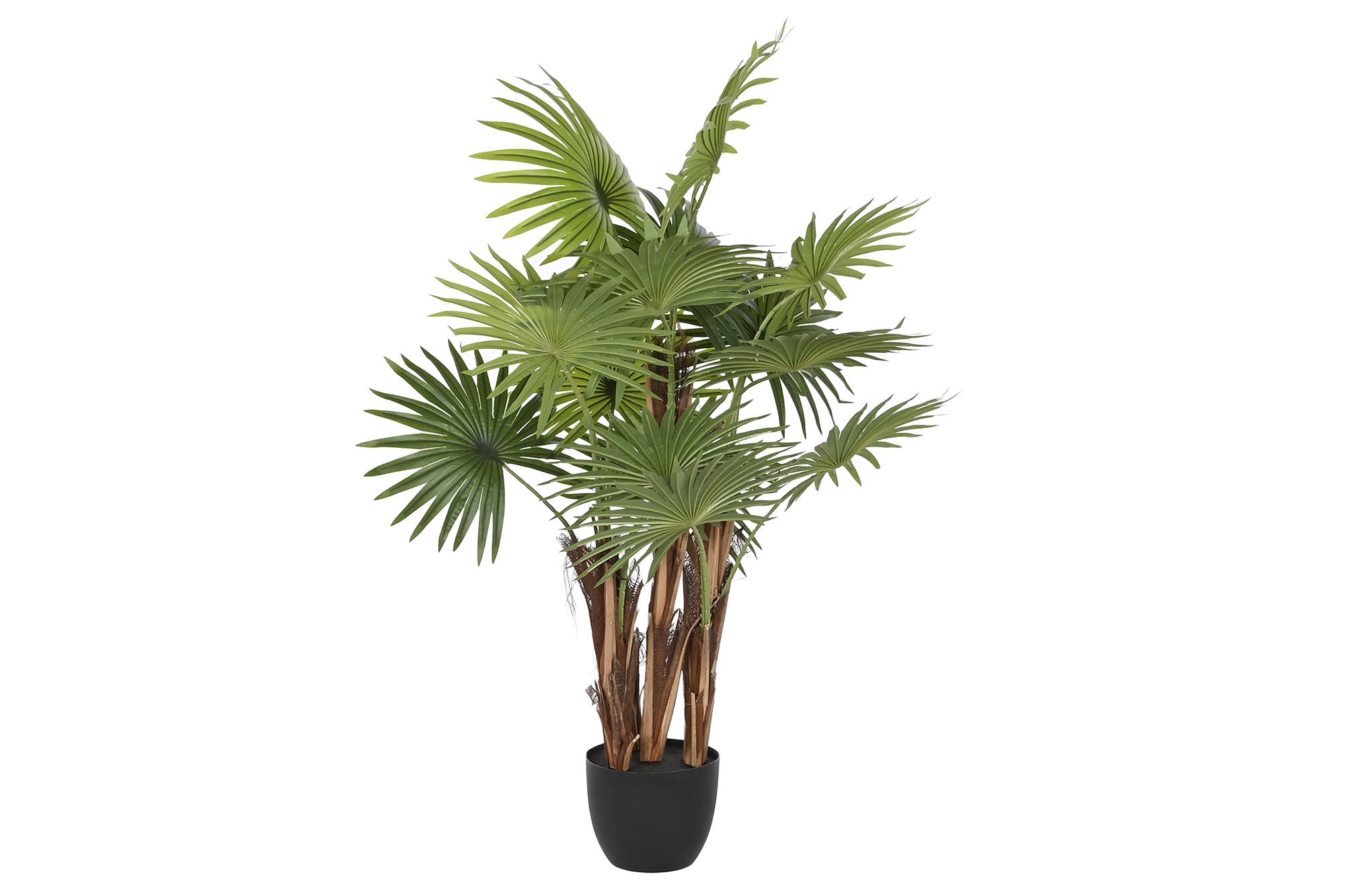 PLANTA PP PE 88X81X128 VERDE
