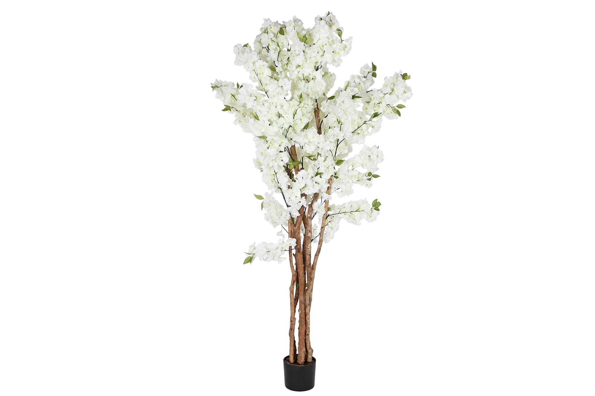 ARBOL PE CEMENTO 80X80X200 ALMENDRO BLANCO
