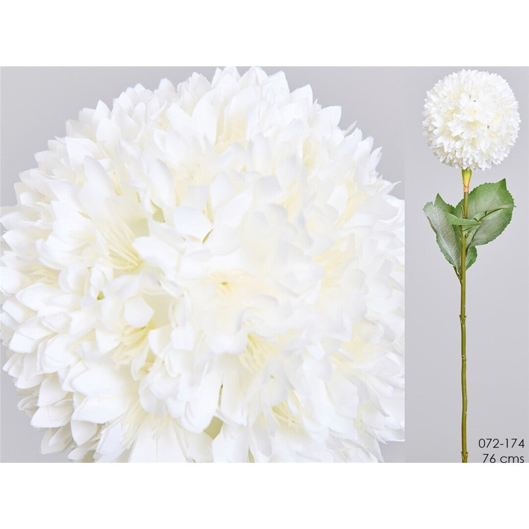 Allium blanco 76 cms